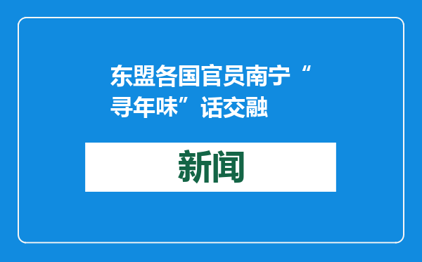 东盟各国官员南宁“寻年味”话交融