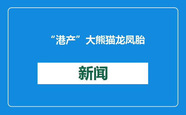 “港产”大熊猫龙凤胎将于2月16日与公众见面