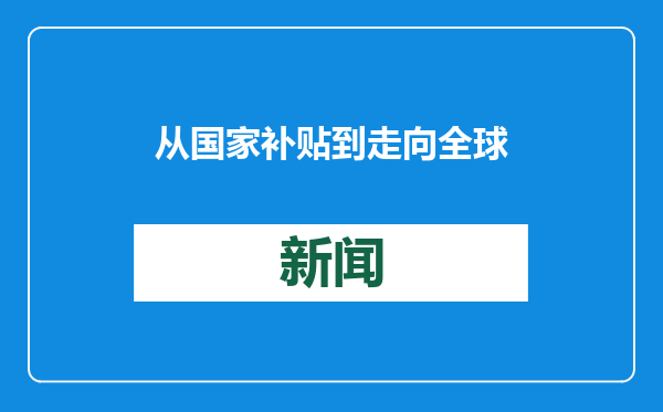 从国家补贴到走向全球市场：循环企业的技术创新逻辑