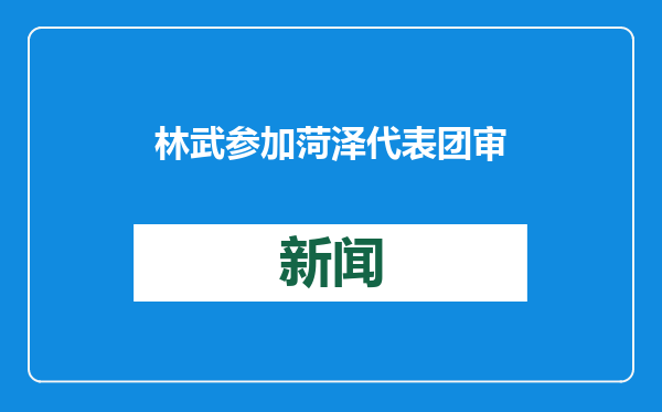 林武参加菏泽代表团审议时强调 加力提效推动经济持续向好着力塑造高质量发展新优势