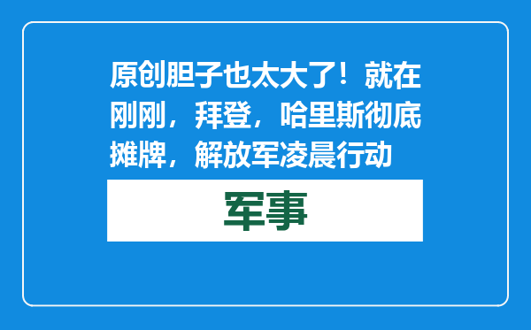 原创            胆子也太大了！就在刚刚，拜登，哈里斯彻底摊牌，解放军凌晨行动