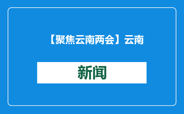 【聚焦云南两会】云南跨境犯罪高发势头得到遏制