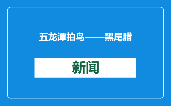 五龙潭拍鸟——黑尾腊嘴雀