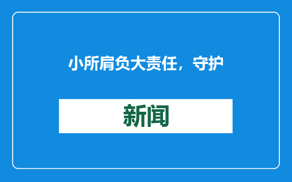 小所肩负大责任，守护市场显担当