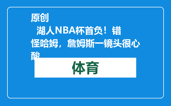 原创            湖人NBA杯首负！错怪哈姆，詹姆斯一镜头很心酸