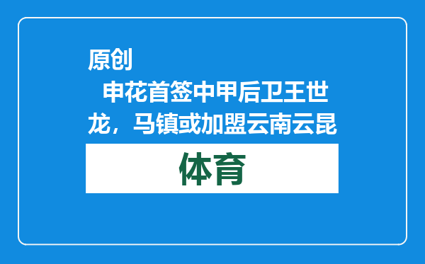 原创            申花首签中甲后卫王世龙，马镇或加盟云南云昆