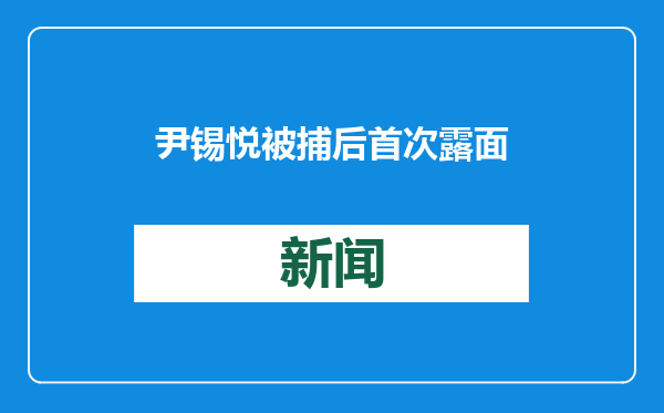 尹锡悦被捕后首次露面 出席庭审辩论