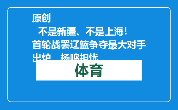 原创            不是新疆、不是上海！首轮战罢辽篮争夺最大对手出炉，杨鸣担忧
