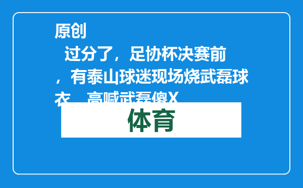 原创            过分了，足协杯决赛前，有泰山球迷现场烧武磊球衣，高喊武磊傻X