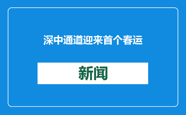 深中通道迎来首个春运大考，如何接住“泼天流量”