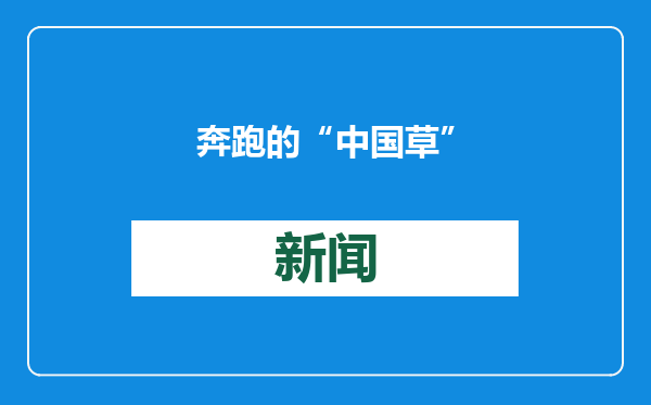 奔跑的“中国草”