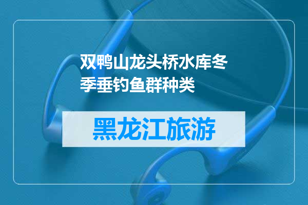 双鸭山龙头桥水库冬季垂钓鱼群种类