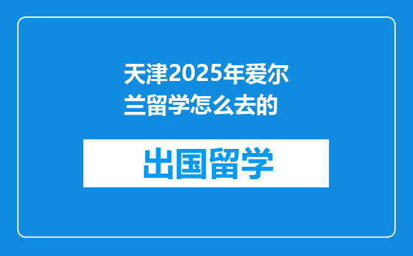 天津2025年爱尔兰留学怎么去的