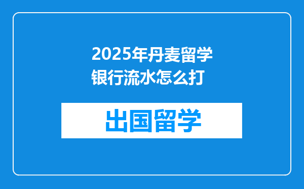 2025年丹麦留学银行流水怎么打