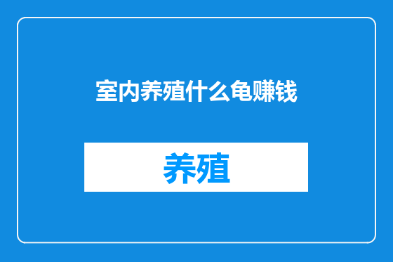 室内养殖什么龟赚钱