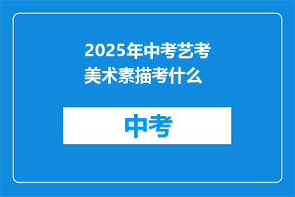 2025年中考艺考美术素描考什么