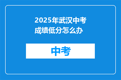 2025年武汉中考成绩低分怎么办