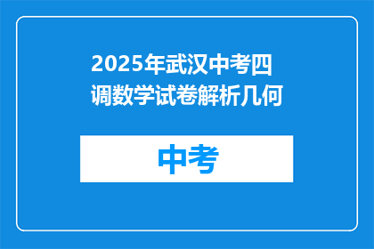 2025年武汉中考四调数学试卷解析几何