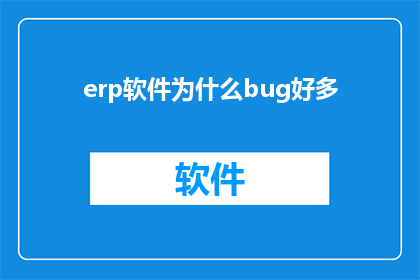 erp软件为什么bug好多